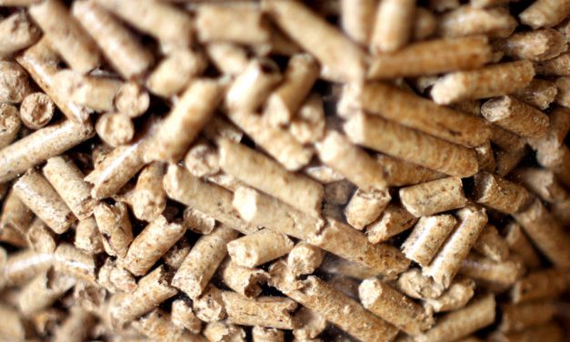 Biomasa pellets. Consejos del experto