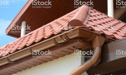 Canalón tejado: nuestra selección