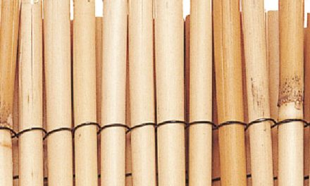 Cómo seleccionar cañizo bambu