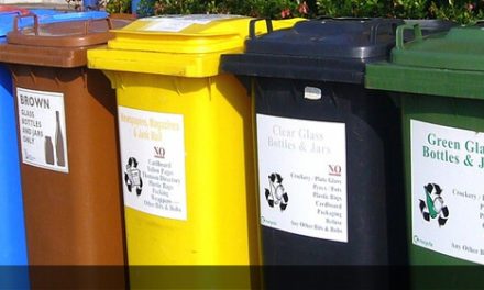 Contenedor de basura. Guía para elegir