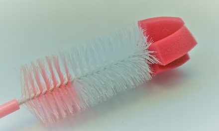 Guía de compras de cepillo de limpieza