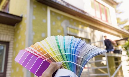 Guía de compras de pintura para humedades