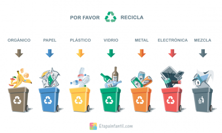 Nuestra selección de basura de reciclaje